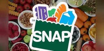 Pago SNAP en Florida: estos son los beneficiarios que recibirán su asistencia entre el 17 y 23 de marzo 2025 Pago SNAP en Florida: estos son los beneficiarios que recibirán su asistencia entre el 17 y 23 de marzo 2025