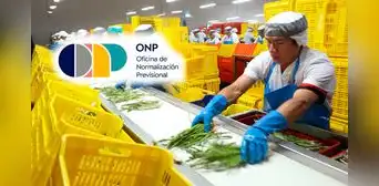 Trabajadores independientes pueden aportar a la ONP para acceder a una pensión y seguros de salud: ¿cuáles son los requisitos en 2025?