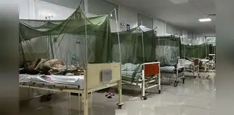 Serotipo 3 del dengue causa preocupación: ya hay más de 18.600 casos y 28 defunciones