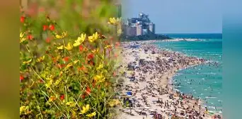 Primavera en Florida 2025: todo lo que necesitas saber sobre el equinoccio de marzo y el cambio de temperatura