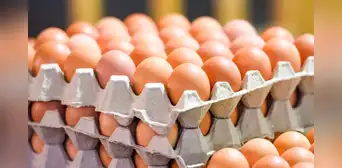 Huevos gratis en Nueva York: conoce los estados donde se repartirán y el horario para recogerlos Huevos gratis en Nueva York: conoce los estados donde se repartirán y el horario para recogerlos