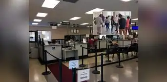DMV del sur de Florida colapsa: empresas reservan varias citas y las venden hasta por US$250 cada uno