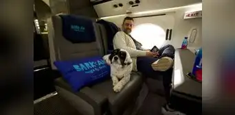 Nueva ruta aérea entre Nueva York y Florida facilita viajes con mascotas desde US$900: ofrecerán caldo de huesos, premios y más Nueva ruta aérea entre Nueva York y Florida facilita viajes con mascotas desde US$900: ofrecerán caldo de huesos, premios y más