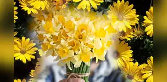 ¿Qué simbolizan las flores amarillas en el amor? ¿Qué simbolizan las flores amarillas en el amor?