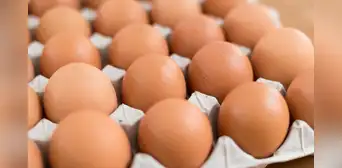 Huevos gratis en Chicago: conoce la hora y los puntos de entrega para este 21 y 22 de marzo