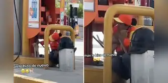 Trabajadora de grifo abraza a un gatito callejero y la escena es viral: "Todavía hay empatía" Trabajadora de grifo abraza a un gatito callejero y la escena es viral: "Todavía hay empatía"