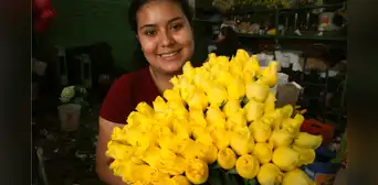 ¿Símbolo de amor o de infidelidad? El otro significado de regalar flores amarillas el 21 de marzo ¿Símbolo de amor o de infidelidad? El otro significado de regalar flores amarillas el 21 de marzo