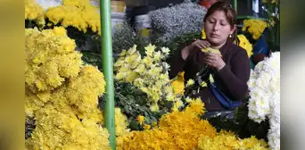 Flores amarillas, 21 de marzo: ¿en qué países de América Latina se regalan y por qué? Flores amarillas, 21 de marzo: ¿en qué países de América Latina se regalan y por qué?
