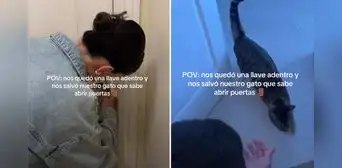 Gatito sorprende al abrirle la puerta a dueños que olvidaron la llave: “Michi cerrajero" Gatito sorprende al abrirle la puerta a dueños que olvidaron la llave: “Michi cerrajero"