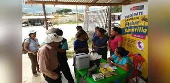 Minsa lanza alerta por aumento de casos de fiebre amarilla en zonas de Amazonas, Huánuco y San Martín