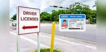 Miami-Dade: conductores ya podrán tramitar licencia de conducir en oficinas de recaudación de impuestos Miami-Dade: conductores ya podrán tramitar licencia de conducir en oficinas de recaudación de impuestos