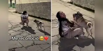 Joven se reencuentra con su perrito después de un año y emociona en redes: “Jamás olvidan” Joven se reencuentra con su perrito después de un año y emociona en redes: “Jamás olvidan”