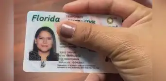 Licencia de conducir en Florida: descubre si tu permiso se encuentra suspendido vía FLHSMV Licencia de conducir en Florida: descubre si tu permiso se encuentra suspendido vía FLHSMV