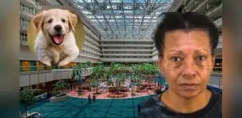 Crueldad animal en Florida: mujer detenida en Aeropuerto Internacional de Orlando por asfixiar a su perro en un inodoro Crueldad animal en Florida: mujer detenida en Aeropuerto Internacional de Orlando por asfixiar a su perro en un inodoro