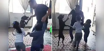 Perro sorprende a su familia al jugar 'lobo, ¿qué estás haciendo?' y escena es viral: "Un niño más"