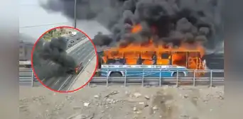 Bus de San Felipe Express se incendia en Vía de Evitamiento: cierran carril a la altura de El Agustino Bus de San Felipe Express se incendia en Vía de Evitamiento: cierran carril a la altura de El Agustino