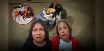 Drogan, torturan y asesinan a anciano: capturan a peperas tras identificar a su mascota en el Callao Drogan, torturan y asesinan a anciano: capturan a peperas tras identificar a su mascota en el Callao
