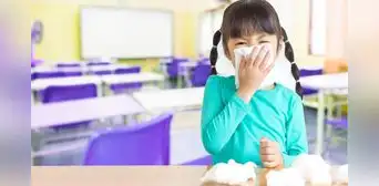Regreso a clases: medidas efectivas para prevenir enfermedades en las aulas y proteger a los estudiantes Regreso a clases: medidas efectivas para prevenir enfermedades en las aulas y proteger a los estudiantes