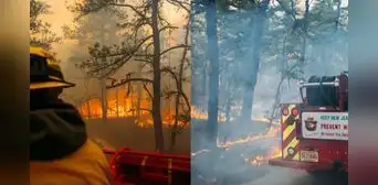 Estado de emergencia en Carolina del Norte y del Sur por incendios forestales: autoridades ordenaron evacuaciones Estado de emergencia en Carolina del Norte y del Sur por incendios forestales: autoridades ordenaron evacuaciones