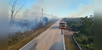 Incendio forestal en Miami-Dade sigue activo luego de ocho días y bomberos sospechan que fue provocado Incendio forestal en Miami-Dade sigue activo luego de ocho días y bomberos sospechan que fue provocado