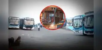 Transportistas de 'El Chino' no saldrán a trabajar hoy tras atentado a balazos contra chofer en VMT Transportistas de 'El Chino' no saldrán a trabajar hoy tras atentado a balazos contra chofer en VMT