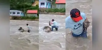 Sereno arriesga su vida e ingresa a caudoloso río para rescatar a un gato en Huánuco Sereno arriesga su vida e ingresa a caudoloso río para rescatar a un gato en Huánuco
