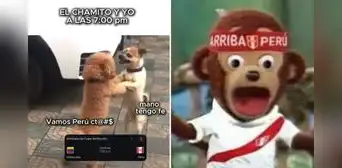 Los mejores memes previo al Perú vs. Venezuela por las Eliminatorias 2026: “El que pierde se lleva a Dina"