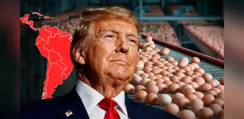 El país de América Latina que exporta más huevos a EE. UU. en medio de escasez: más de 2.000 toneladas en 2025 El país de América Latina que exporta más huevos a EE. UU. en medio de escasez: más de 2.000 toneladas en 2025