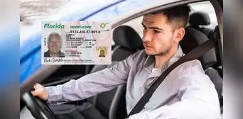 Lista confirmada: según el FLHSMV de Florida estos conductores no tendrán que dar el examen teórico ni práctico en el estado