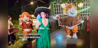 Cuy se presenta para animar una boda mexicana y en redes bromean: “El capibara lo dejó sin chamba en Perú”