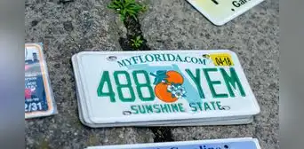Conductores en Florida podrían evitar instalar placa delantera en sus vehículos si avanza este proyecto de ley