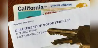 Confirmado: las licencias de conducir en California dejarán de ser válidas para quienes deseen realizar estas actividades Confirmado: las licencias de conducir en California dejarán de ser válidas para quienes deseen realizar estas actividades