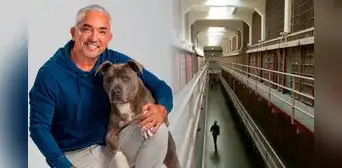 ¿Qué pasa con César Millán? El 'encantador de perros' es tendencia en EEUU tras rumores de un supuesto arresto