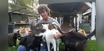 Muere dueño de 'Santuario Happy Cat' en incendio en Medford, Nueva York: "Dio su vida para salvar a estos gatos" Muere dueño de 'Santuario Happy Cat' en incendio en Medford, Nueva York: "Dio su vida para salvar a estos gatos"