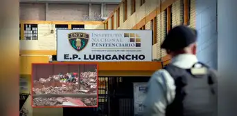 Denuncian plaga de insectos y fuertes olores en Penal de Lurigancho: vecinos señalan proliferación de moscas