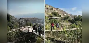 Mujer peruana reveló cómo creó una selva escondida entre los cerros de San Juan de Lurigancho con más de 100 variedades de plantas: "Fue un juego"