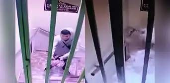 Hombre es captado prendiendo fuego en exteriores de un hotel en Puente Piedra: administrador denuncia que policía no quiso ayudarlo Hombre es captado prendiendo fuego en exteriores de un hotel en Puente Piedra: administrador denuncia que policía no quiso ayudarlo