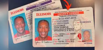 Lista confirmada de los riesgos y sanciones para conductores por manejar con una licencia de conducir falsa en Illinois