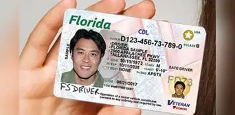 Licencia de conducir en Florida: estas son las multas por manejar sin brevete este 2025 Licencia de conducir en Florida: estas son las multas por manejar sin brevete este 2025