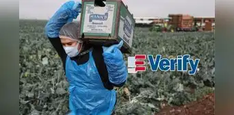 E-Verify obligatorio en Florida: ¿cómo afectará a los inmigrantes sin papeles en el mercado laboral en EEUU? E-Verify obligatorio en Florida: ¿cómo afectará a los inmigrantes sin papeles en el mercado laboral en EEUU?
