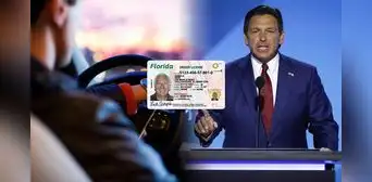Licencia de conducir en Florida: ley promulgada por Ron DeSantis sanciona a conductores que no cumplan con simple requisito Licencia de conducir en Florida: ley promulgada por Ron DeSantis sanciona a conductores que no cumplan con simple requisito