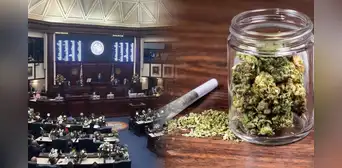 ¡Atención, Florida! Proponen prohibir la venta de productos relacionados a la droga del THC por razones de seguridad pública ¡Atención, Florida! Proponen prohibir la venta de productos relacionados a la droga del THC por razones de seguridad pública
