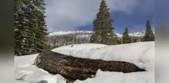La nieve cubre California: un invierno récord que no se veía en 25 años y trae esperanza tras la sequía. La nieve cubre California: un invierno récord que no se veía en 25 años y trae esperanza tras la sequía.