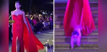 ‘Firulais’ mordió vestido de modelo en pleno desfile y usuarios dicen: "Le dio calambre en los ojos" ‘Firulais’ mordió vestido de modelo en pleno desfile y usuarios dicen: "Le dio calambre en los ojos"