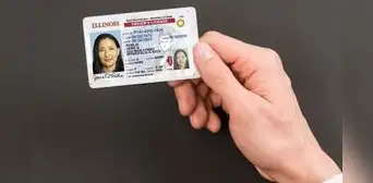 Real ID en Illinois: ¿quiénes deben tramitarla antes de la fecha límite en Estados Unidos?