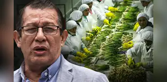 Congreso busca acelerar la aprobación de Ley Chlimper 2.0 que beneficia a grandes agroexportadoras Congreso busca acelerar la aprobación de Ley Chlimper 2.0 que beneficia a grandes agroexportadoras