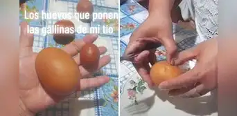 Gallina pone enorme huevo y mujer revela lo que contiene: "Cuando la receta te pide 1 yema y dos claras"