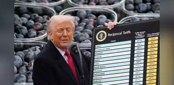 Aranceles de Trump afectará a casi todas las partidas Aranceles de Trump afectará a casi todas las partidas