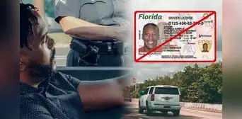 Licencia de conducir en Florida: FLHSMV anuncia cómo verificar si un conductor tiene la identificación suspendida Licencia de conducir en Florida: FLHSMV anuncia cómo verificar si un conductor tiene la identificación suspendida
