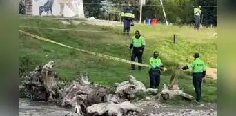 5 muertos por ola de crímenes en Perú: 4 acribillados y una persona carbonizada 5 muertos por ola de crímenes en Perú: 4 acribillados y una persona carbonizada